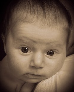 Zoe portait at 6 weeks - 2