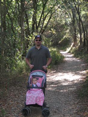 redwoods-walk.JPG