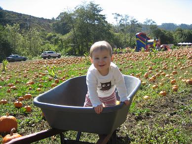 zoe-in-wheelbarrow.JPG