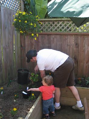 gardening-with-daddy2.JPG