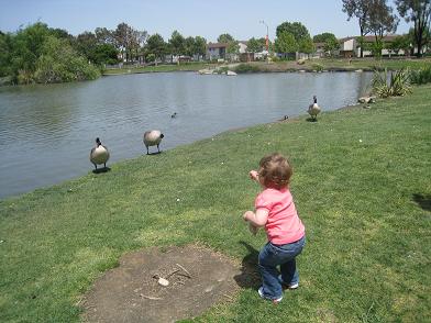 greeting-the-geese.JPG