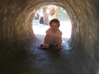 in-zoo-tunnel.JPG