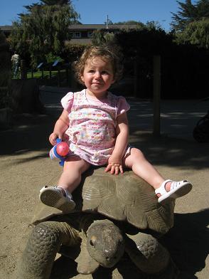 riding-the-turtle.JPG