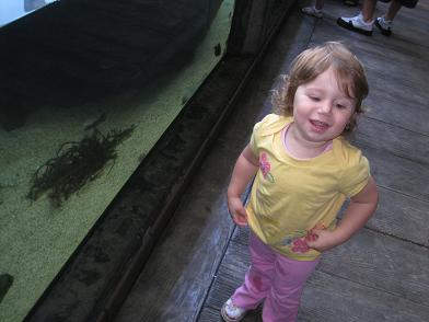 having-fun-at-the-aquarium.JPG