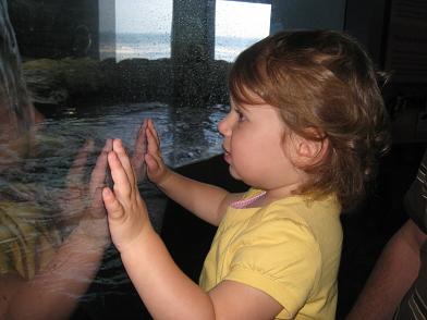 watching-fishies-at-the-aquarium.JPG