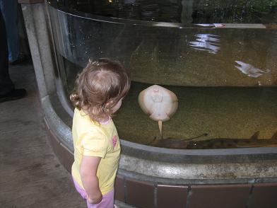 zoe-and-the-stingray.JPG