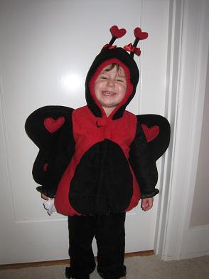 little-ladybug.JPG