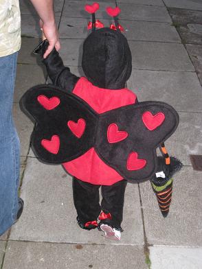 little-ladybug2.JPG