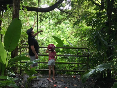 Avery and Daddy in rainforest