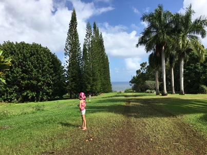 Avery at gardens