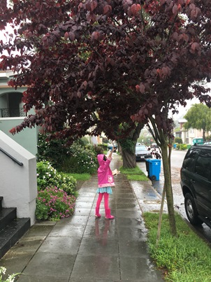 Avery in the rain - small