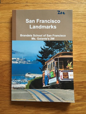 Zoe's book - small