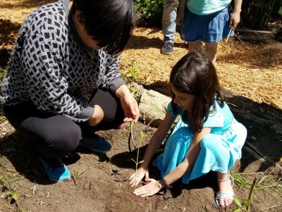 Avery planting sunflower