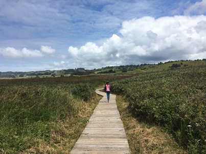 Zoe walking